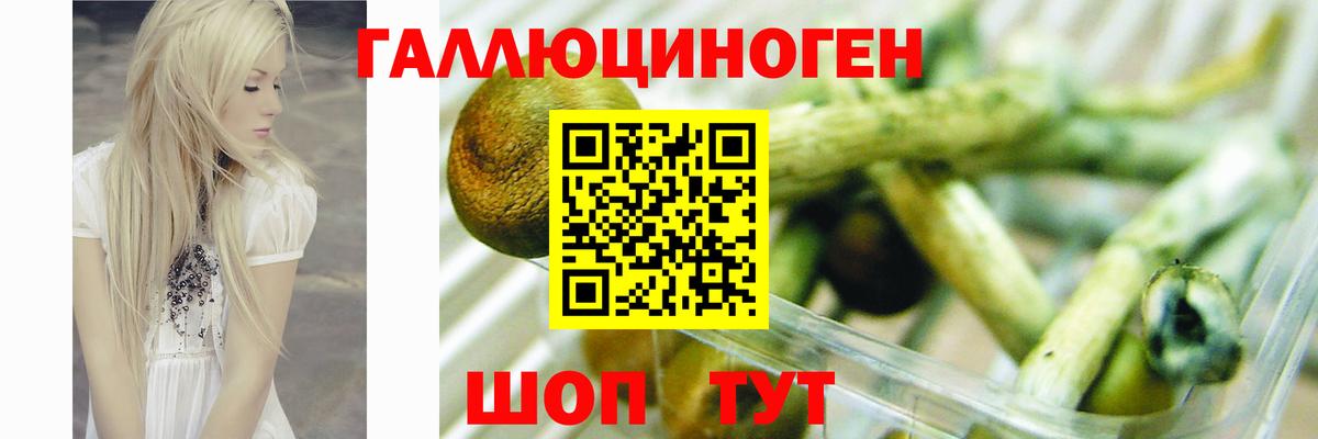 Галлюциногенные грибы мухоморы Кемерово